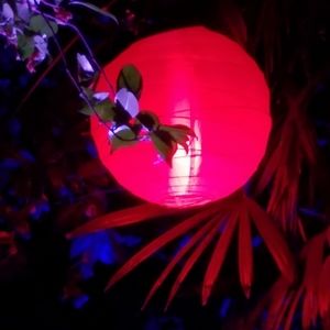 Meet your Posher, Margo